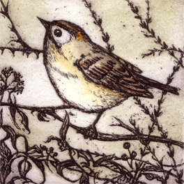 Goldcrest